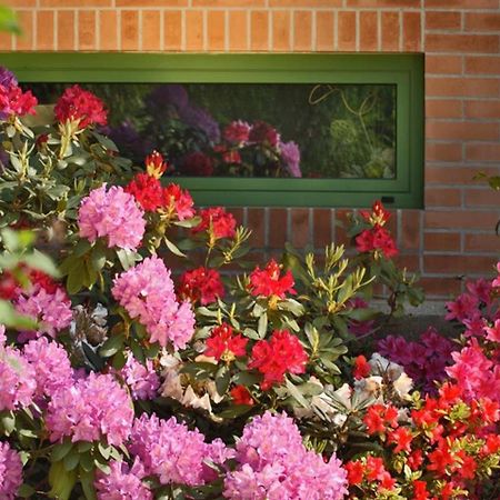 Villa Delle Ortensie Tavagnacco Екстериор снимка